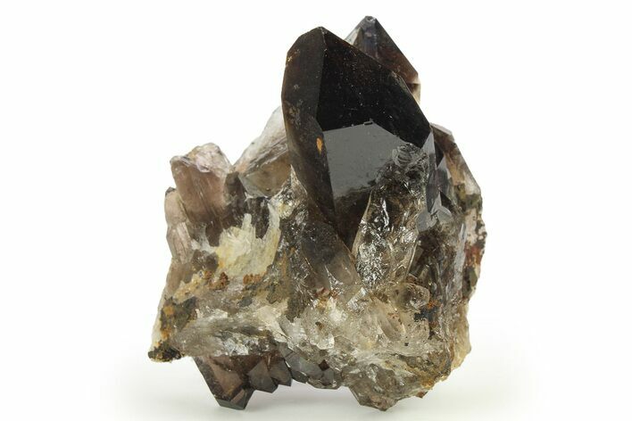 Dark Smoky Quartz Crystal Cluster - Brazil #273022